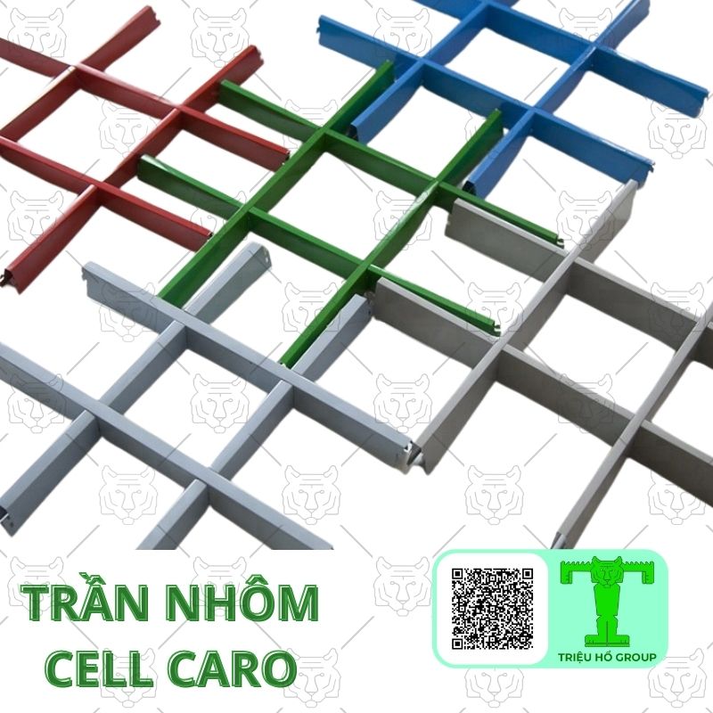 Tran Nhom Cell Caro (2)