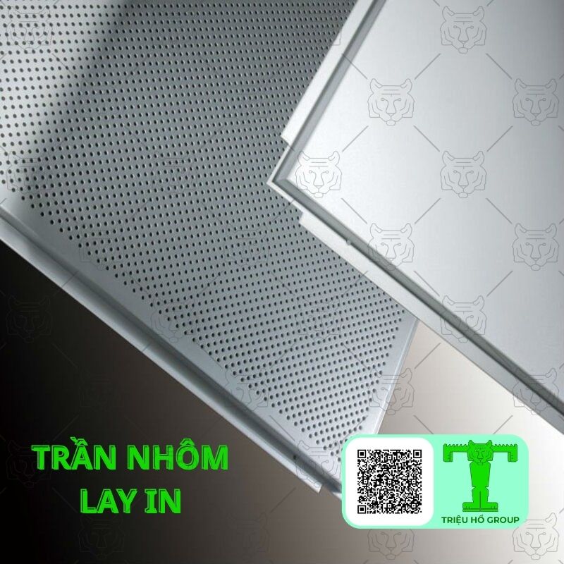 Tran Nhom Lay In