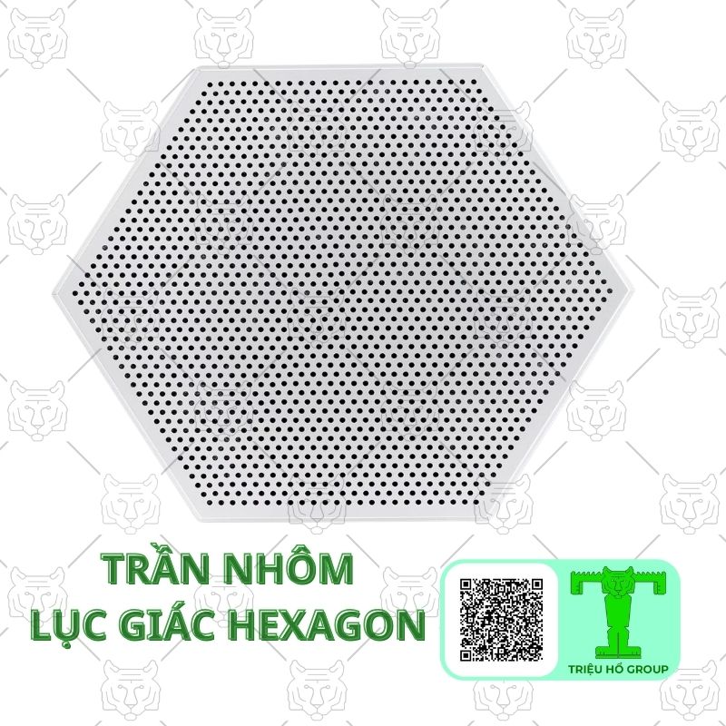 Tran Nhom Luc Giac Hexagon (2)