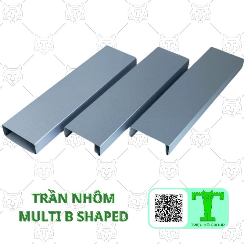 Tran Nhom Multi B Shaped (3)